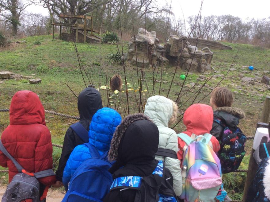 Zoo 2 