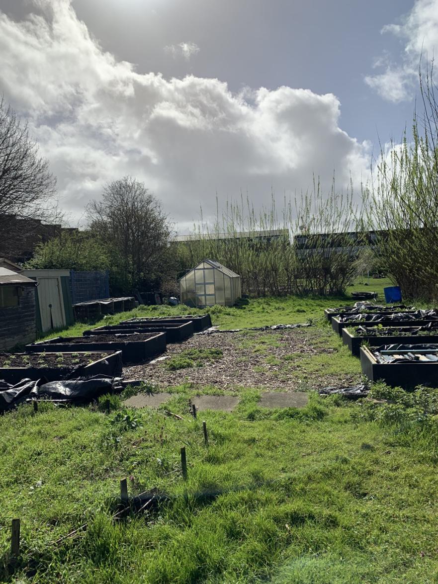 Garden before 