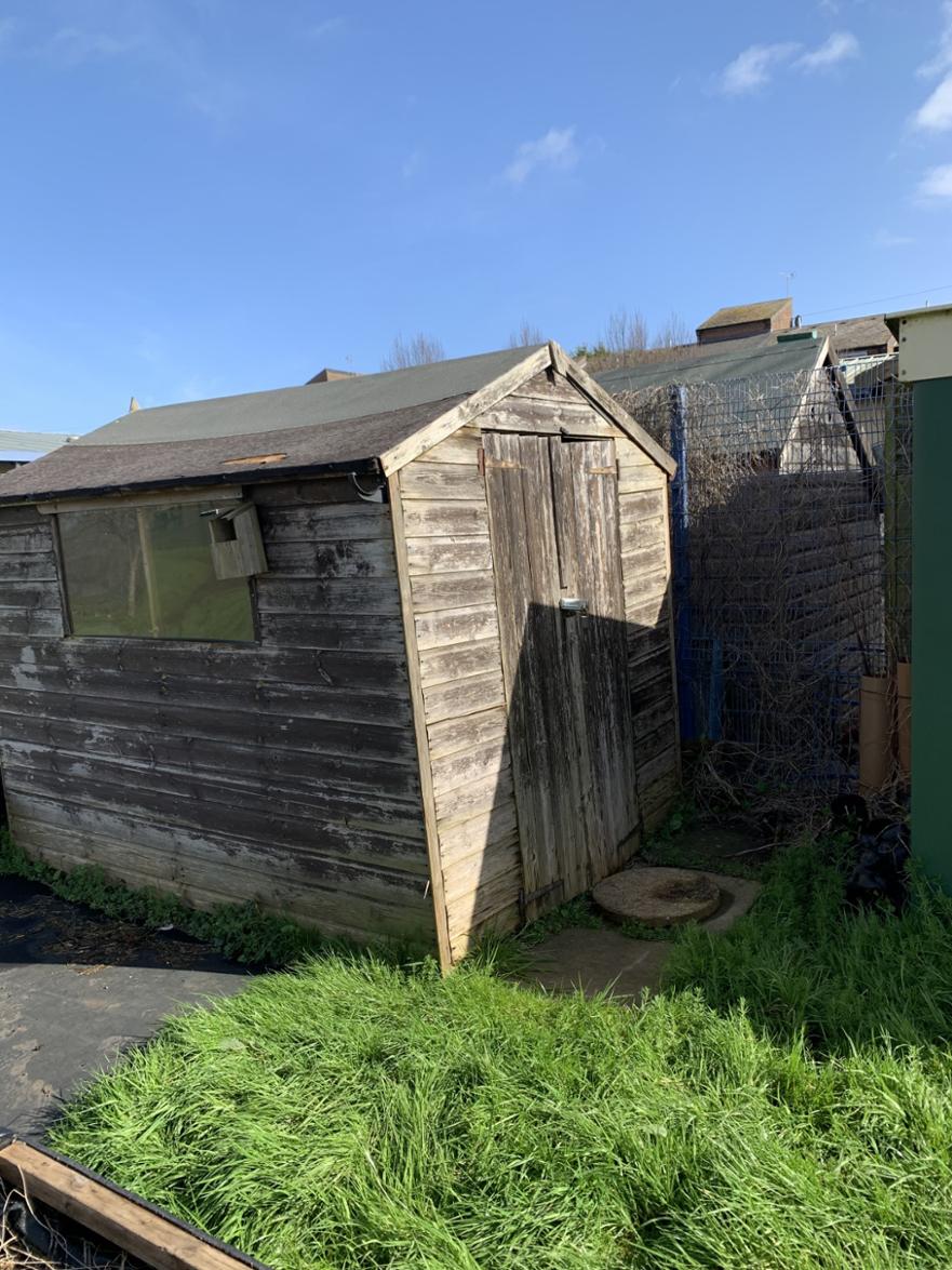 garden after 4 
