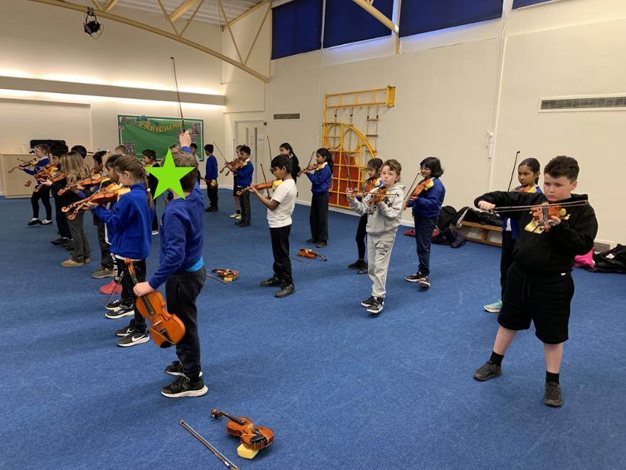 violin 11 